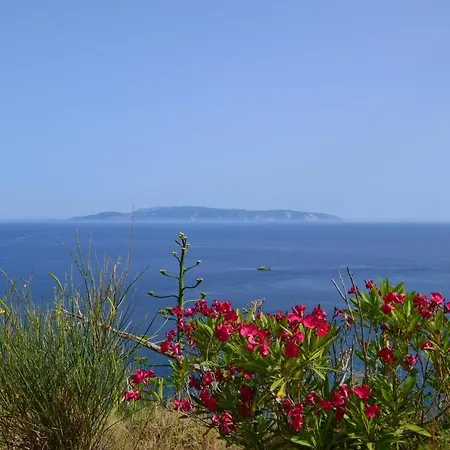 Διαμέρισμα Kefalonia - Marias In *